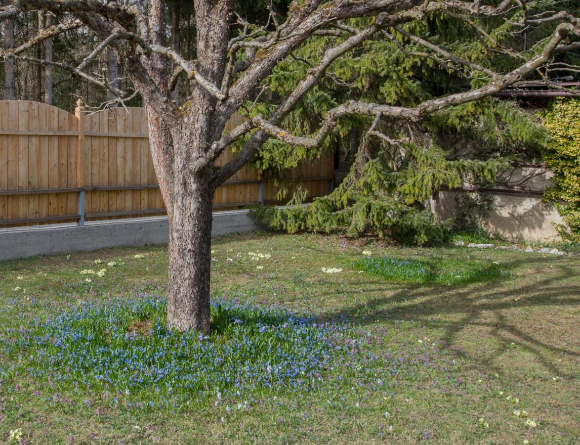 Garten Appartement Harmony Finkenstein am Faaker See Kültér fotó